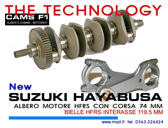 Suzuki Hayabusa CAMS F1