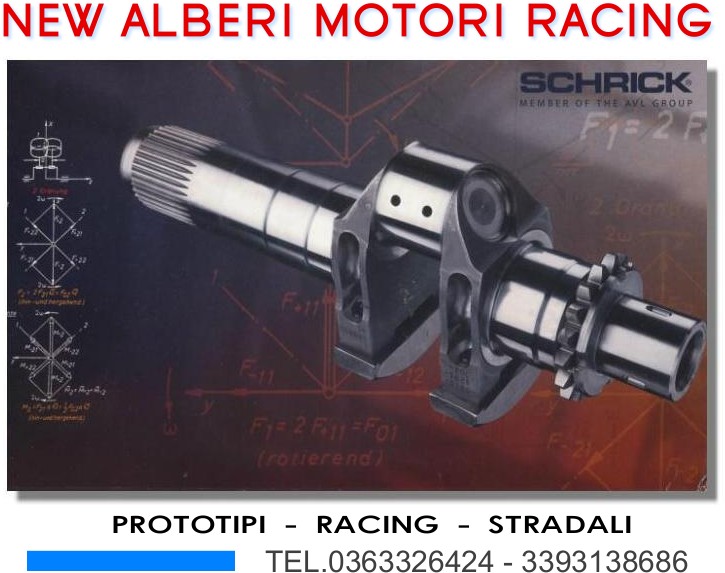 Alberi motori Schrick