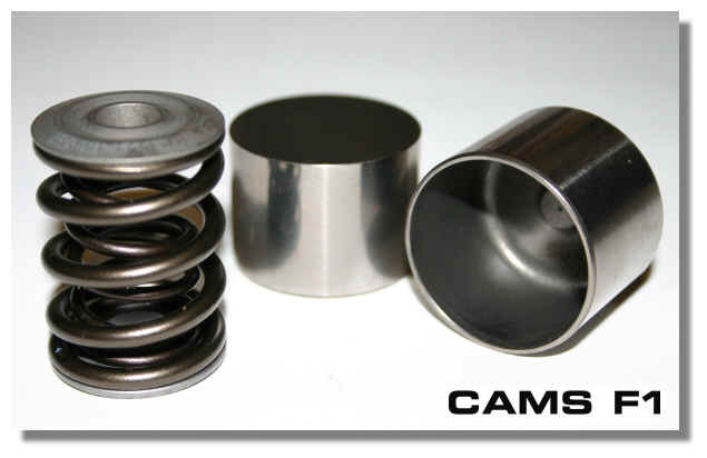 Bicchierini CAMS F1
