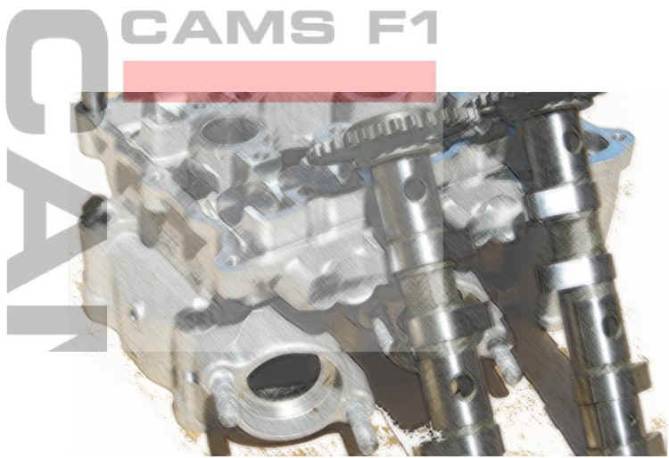 YAMAHA TMAX CAMS F1